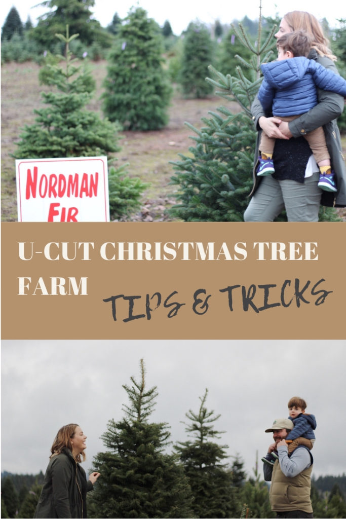 U-cut christmas tree Pinterest